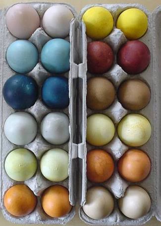 Natural Dye Easter Eggs via Eco Crazy Mom